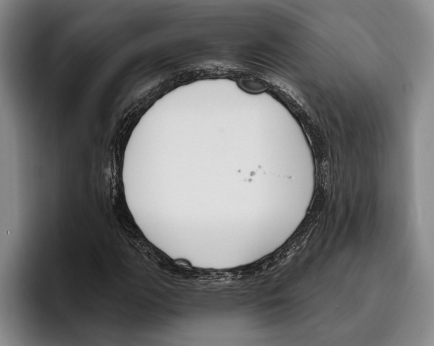 X0000096211111200802151456