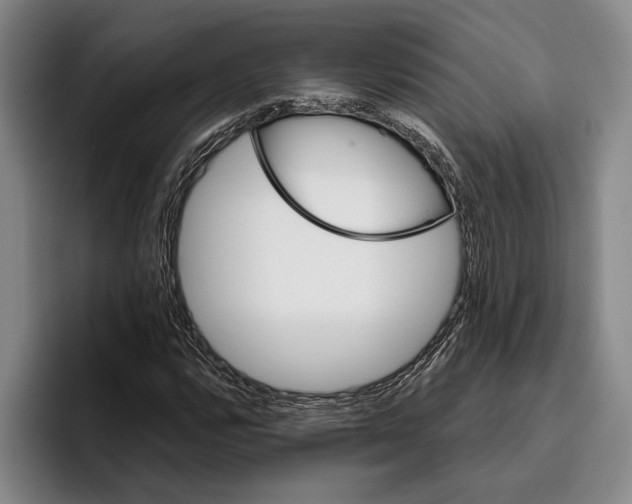 X0000096211112200802151456