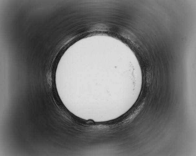 X0000096211113200802151456