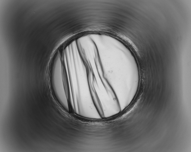 X0000096211114200802151456