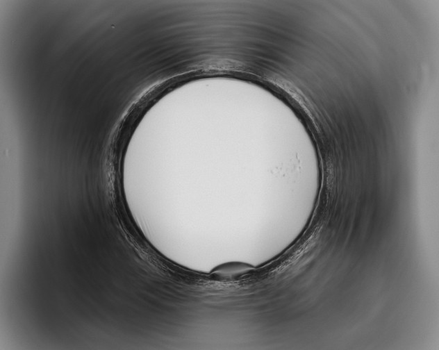 X0000096211115200802151456