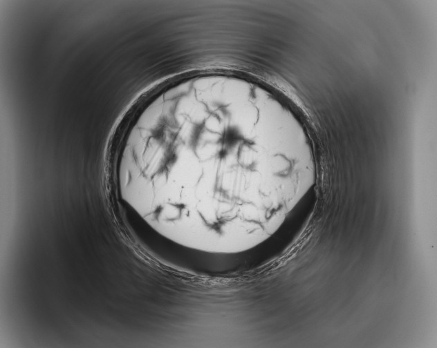 X0000096211116200802151456