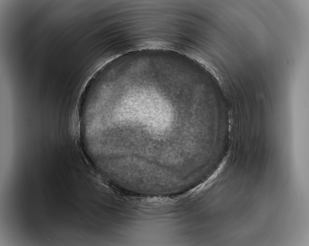 X0000096211117200802151456