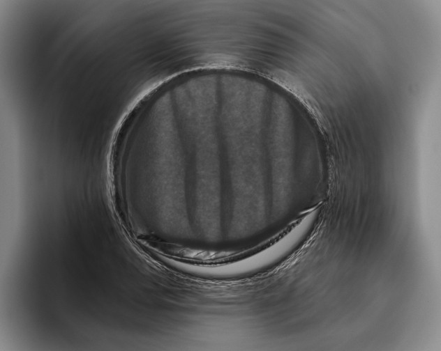 X0000096211120200802151456