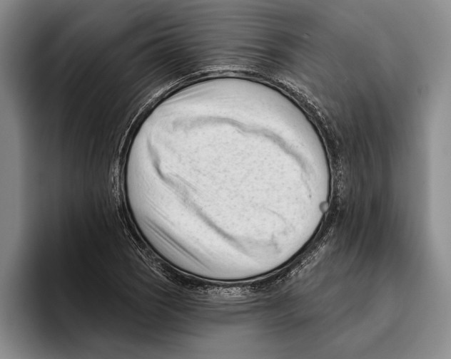 X0000096211121200802151456