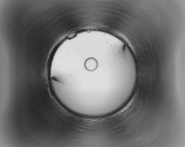 X0000096211122200802151456