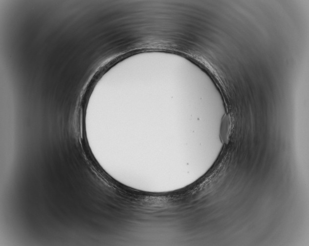 X0000096211123200802151456