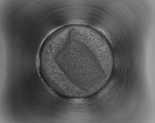 X0000096211125200802151456