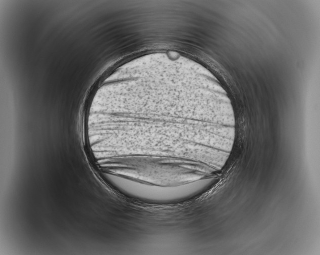 X0000096211127200802151456