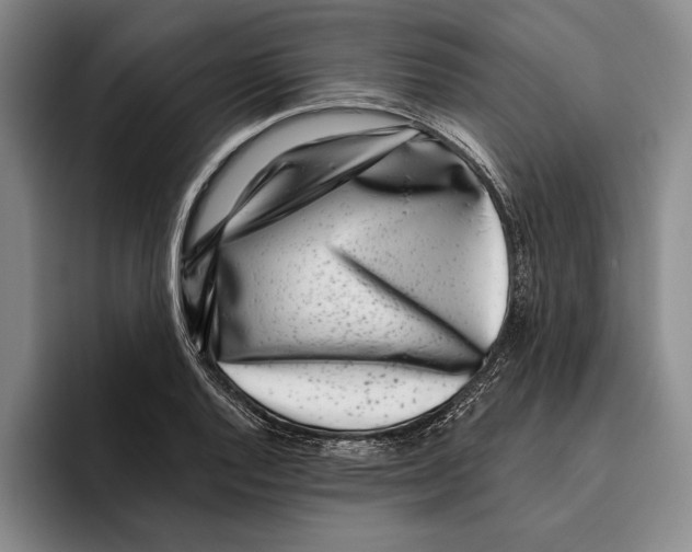 X0000096211128200802151456