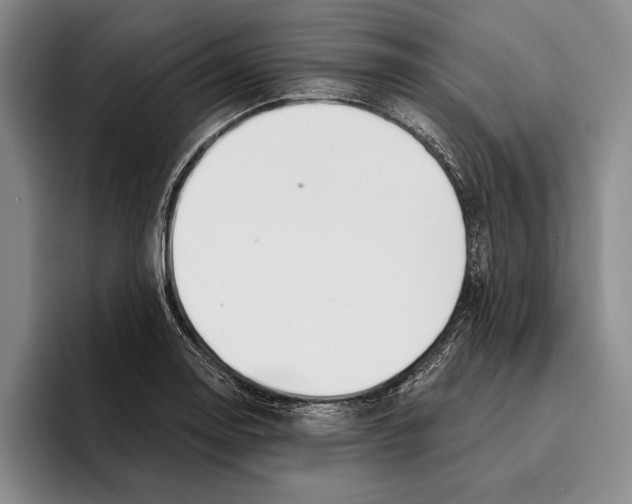 X0000096211130200802151456