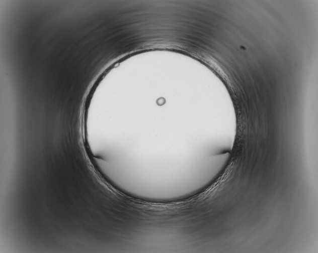 X0000096211132200802151456