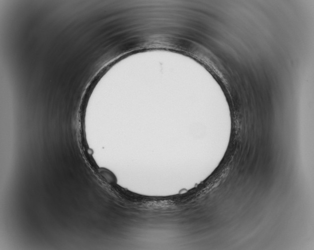 X0000096211133200802151456