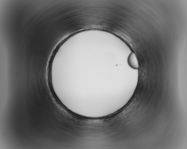 X0000096211135200802151456