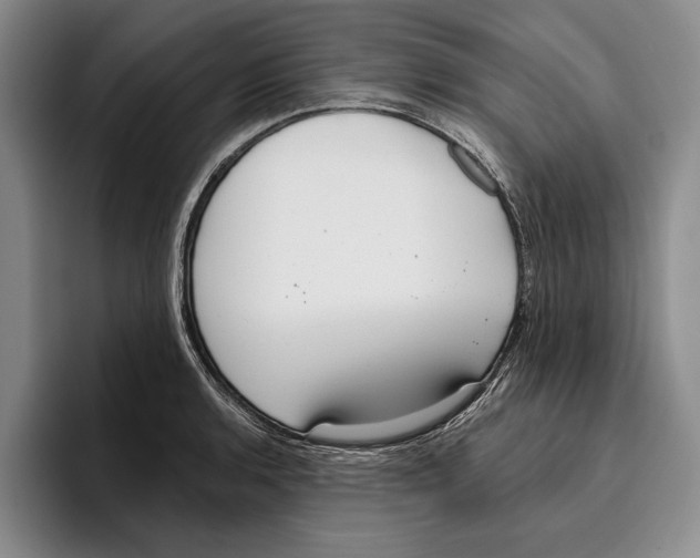 X0000096211136200802151456