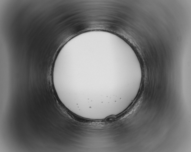 X0000096211137200802151456