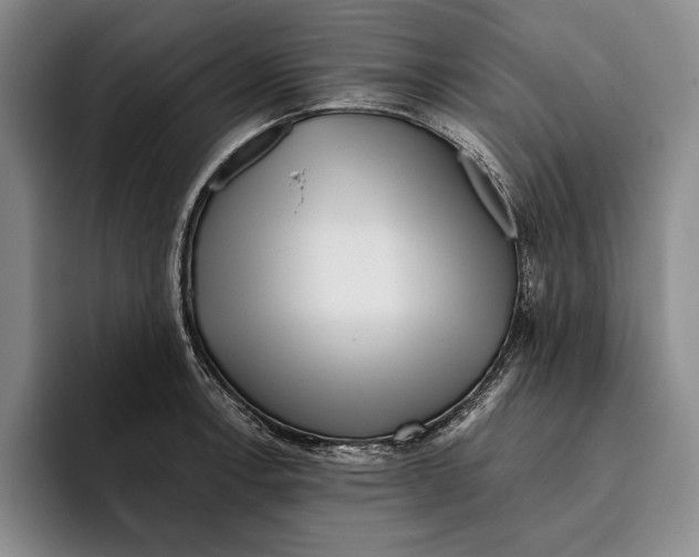 X0000096211138200802151456