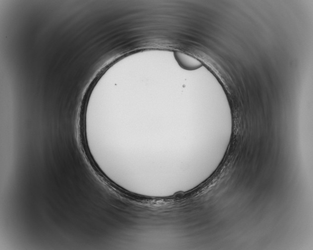 X0000096211139200802151456