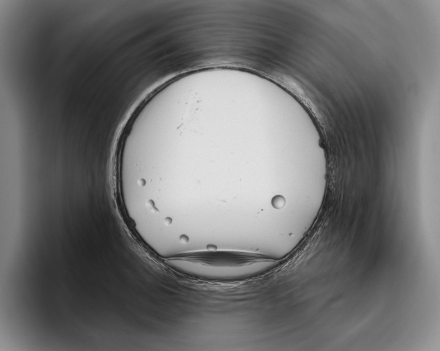 X0000096211140200802151456