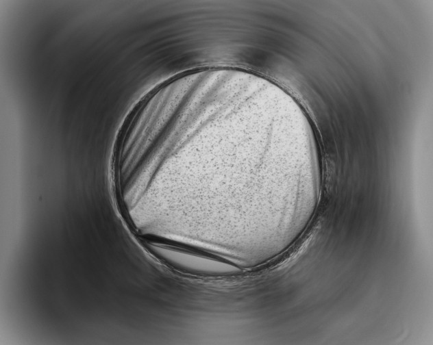 X0000096211141200802151456