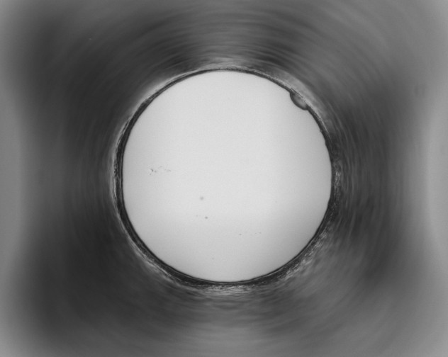 X0000096211143200802151457