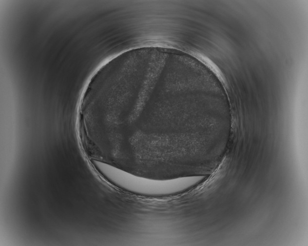 X0000096211144200802151457