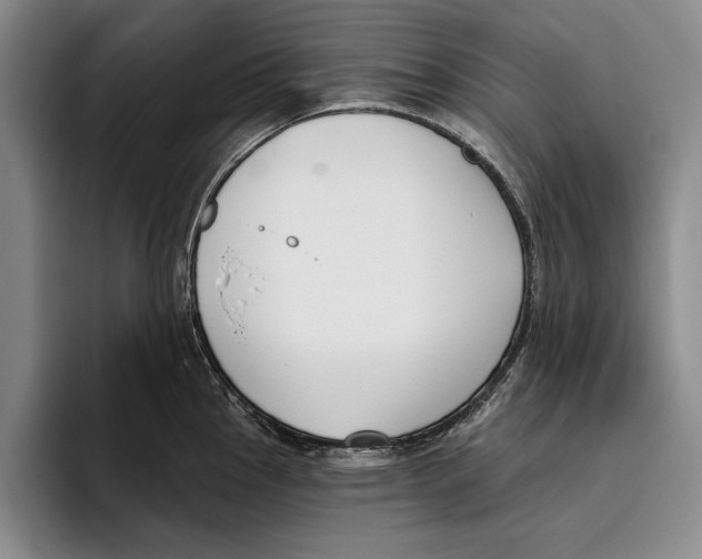 X0000096211145200802151457