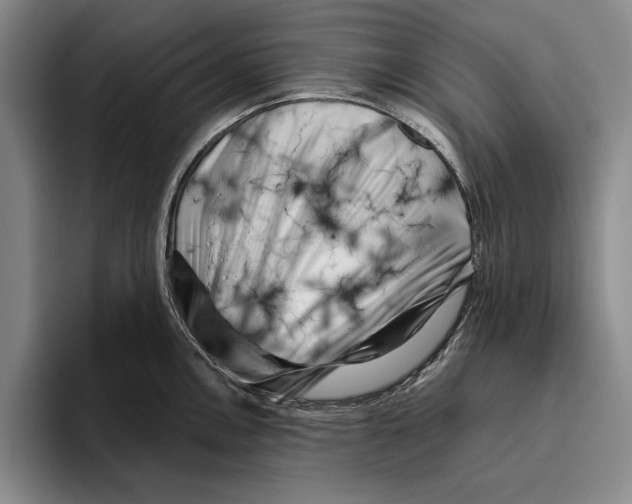 X0000096211146200802151457