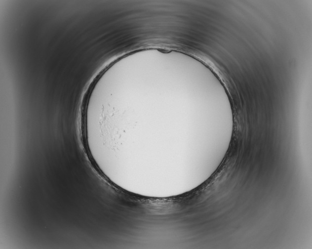 X0000096211147200802151457