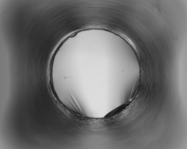 X0000096211148200802151457