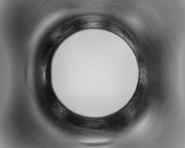 X0000096211150200802151457