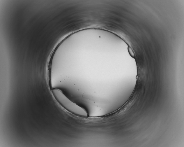 X0000096211151200802151457