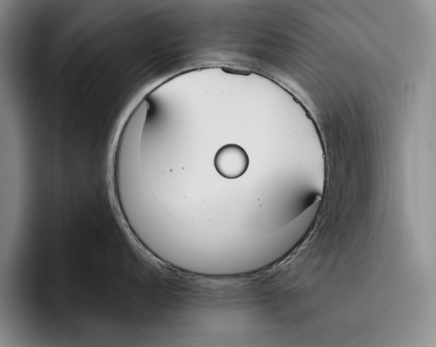 X0000096211152200802151457