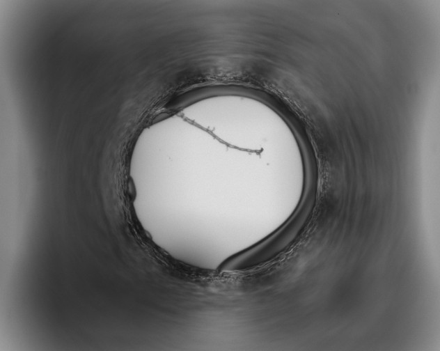 X0000096211153200802151456