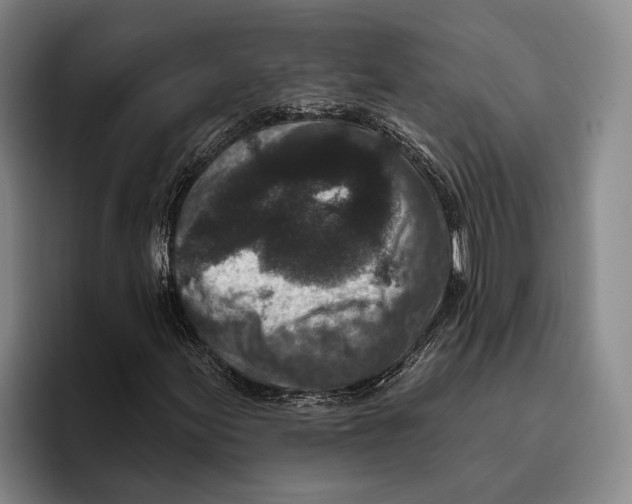 X0000096211155200802151456