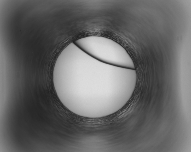 X0000096211156200802151456