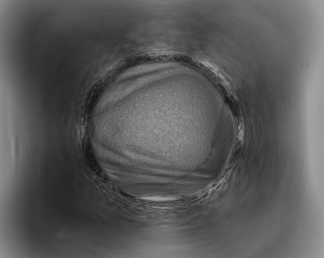 X0000096211157200802151456