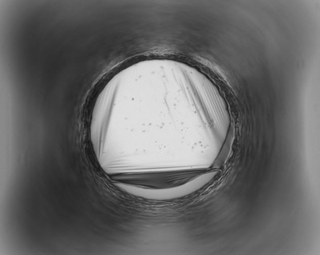 X0000096211160200802151456