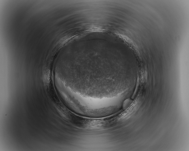 X0000096211161200802151456