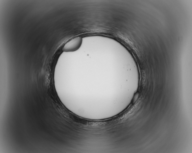 X0000096211163200802151456