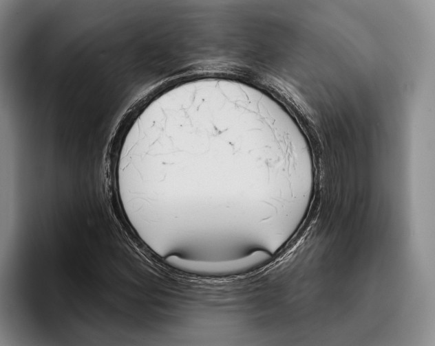 X0000096211164200802151456