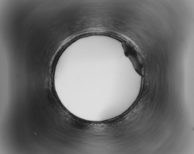 X0000096211168200802151456