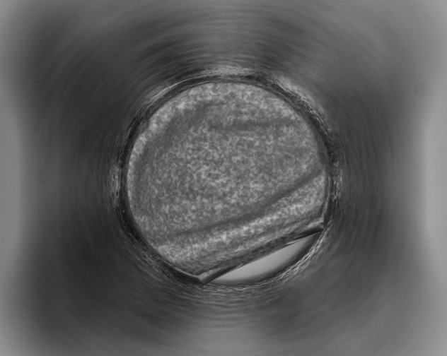 X0000096211169200802151456