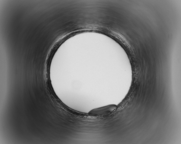 X0000096211172200802151456