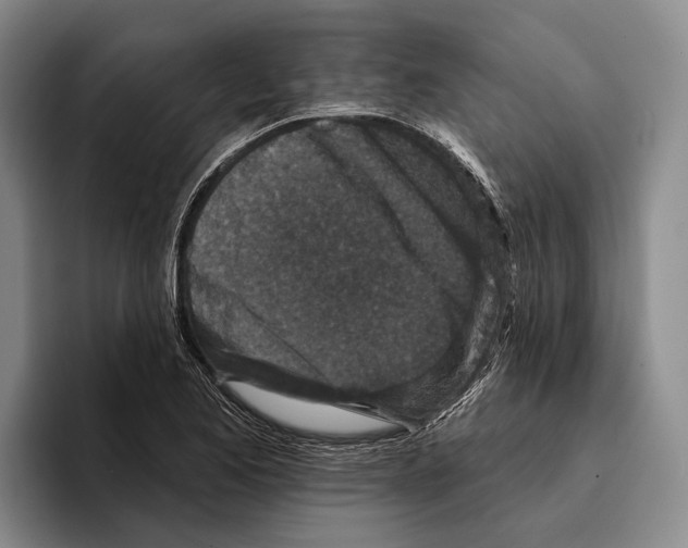 X0000096211173200802151456