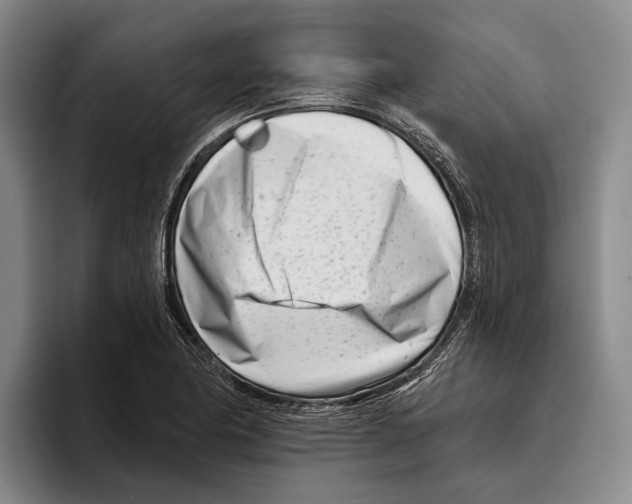 X0000096211174200802151456