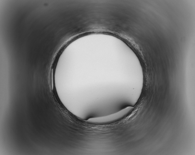 X0000096211175200802151456