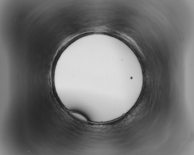 X0000096211176200802151456