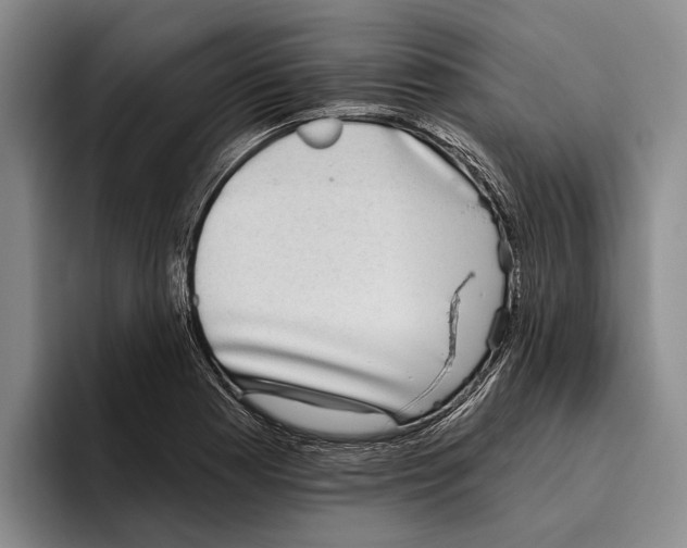 X0000096211177200802151456