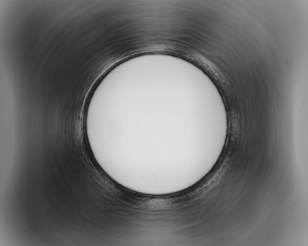 X0000096211178200802151456